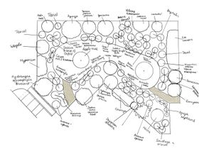 A top-down black and white hand-drawn design of a garden, with circles to represent where plants should go. The circles are annotated with the names of plants, such as Hydrangea Macrophylla "Bluebird", Daphne bholua, Deutzia gracilis, Salvia nemorosa