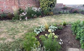 A parched-looking garden, the curved lawn sun-bleached and brown. In the back bed: an unhealthy-looking yellow laurel bush sits at the back, with a cluster of bright purple Verbena Bonariensis in front. Clouds of white and pale-pink achillea with its umbrella-shaped flowerheads. A solitary hot pink dahlia. Spiky salvia flowers, in white, purple and magenta, and some young lavender bushes against the driveway. Some feathery grasses, all looking very brown. In the front bed nearest the camera, the silver-green leaves of brunnera macrophylla and a tiny white hydrangea paniculata.