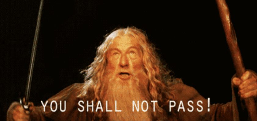 Gandalf from Lord of the Rings saying 'you shall not pass'