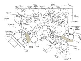 A top-down black and white hand-drawn design of a garden, with circles to represent where plants should go. The circles are annotated with the names of plants, such as Hydrangea Macrophylla "Bluebird", Daphne bholua, Deutzia gracilis, Salvia nemorosa