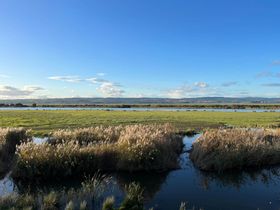 A landscape photo of WWT Slimbridge wetlands. It's bright and sunny with a lovely view over fields and the River Severn estuary, with Wales visible on the other side.